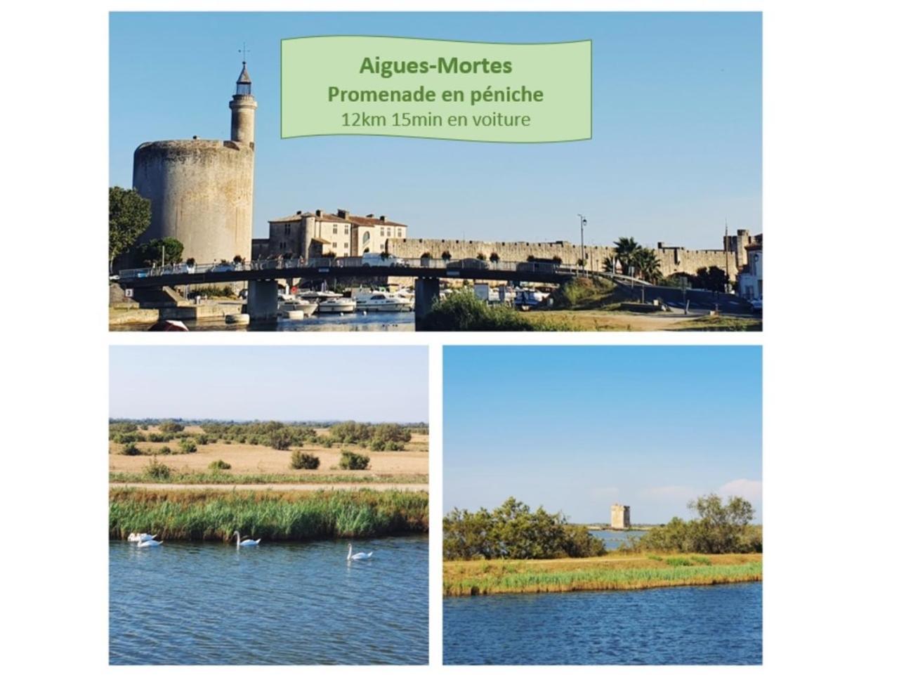 T2 Traversant Familial Cap Sud Parking Plages - Rossiconciergerie - Linge En Option لا غراند موت المظهر الخارجي الصورة